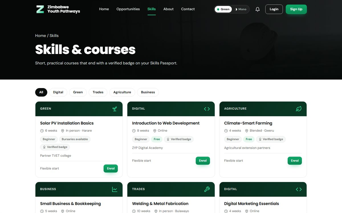 Zimbabwe Youth Pathways: Skills and courses